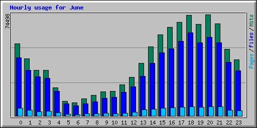 Hourly usage for June 2005