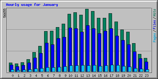 Hourly usage for January 2006